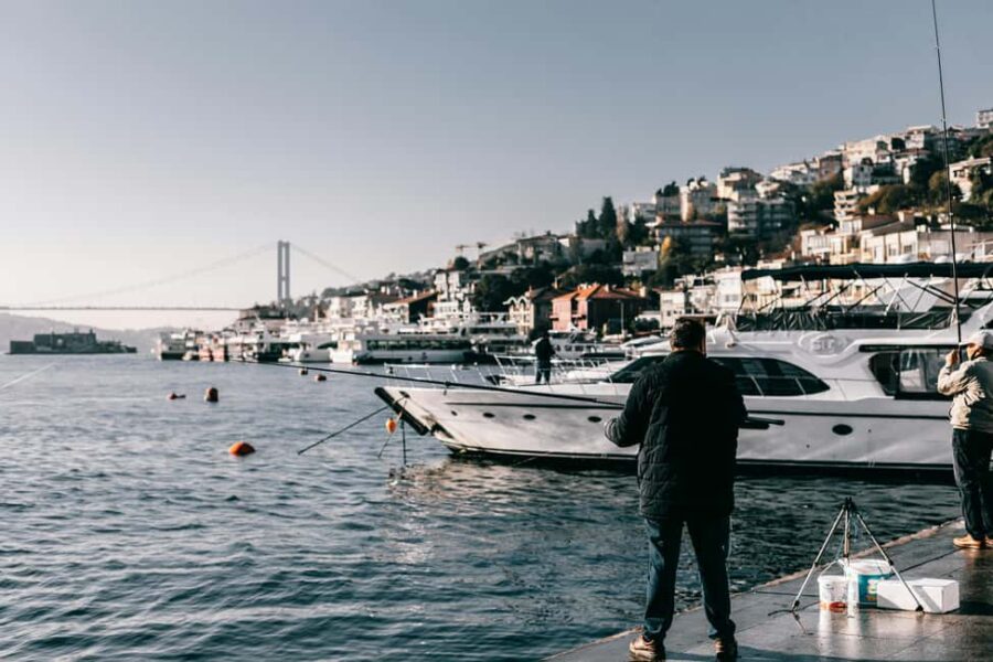 Istanbul: Bosphorus Private Day Tour with Ferry Rides - Cruising the Bosphorus: Waterway Views and Bridges