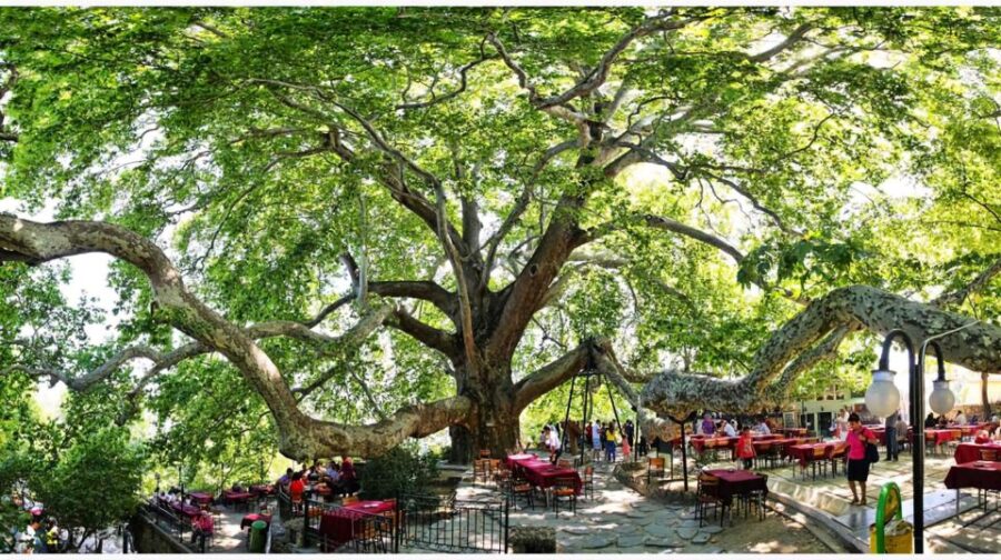 Istanbul: Bursa and Uludag Mountain Day Trip with Cable Car - Exploring Bursa’s Historic and Cultural Sites