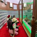 Istanbul: Full Day Islamic Sahaba /Heritage Tour with Lunch - Visiting the Tombs of Prophet Muhammad’s Revered Companions