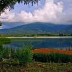 Istanbul: Full-Day Sapanca Lake and Masukiye Tour with Lunch - Starting Point and Transportation Details