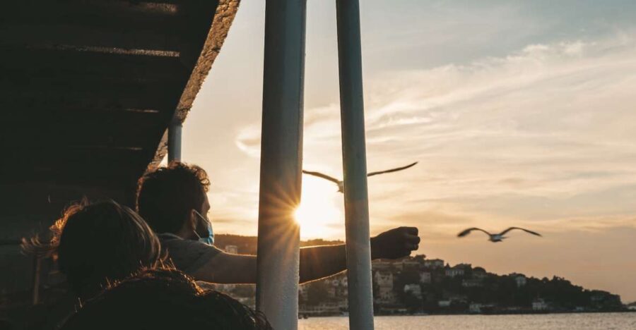 Istanbul: Princes' Islands Cruise w/Music, Lunch & Transfer - Navigating the Princes Islands: A Visual Journey