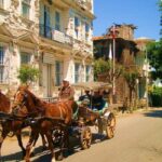 Istanbul: Princes' Islands Cruise with Lunch and Guide - Exploring Heybeliada’s Nature and Historic Sites