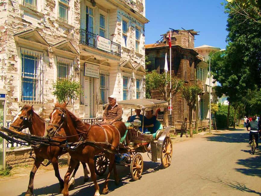 Istanbul: Princes' Islands Cruise with Lunch and Guide - Exploring Heybeliada’s Nature and Historic Sites