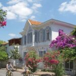 Istanbul: Princes' Islands Cruise with Lunch & Guide - Exploring Buyukada on a Guided Electric Vehicle Tour