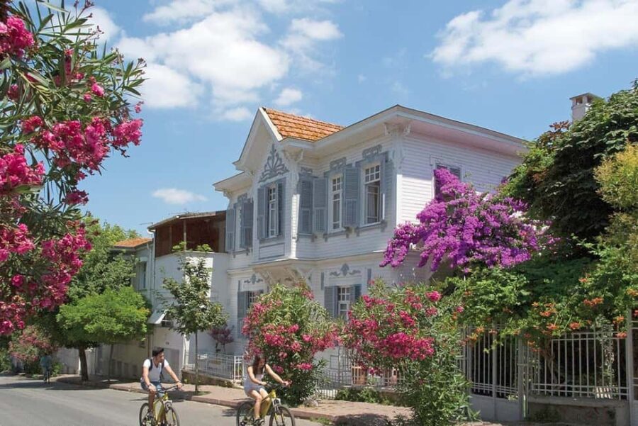 Istanbul: Princes' Islands Cruise with Lunch & Guide - Exploring Buyukada on a Guided Electric Vehicle Tour