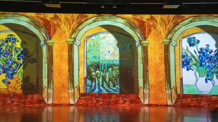 Istanbul: Van Gogh Digital Experience Museum Entry Ticket - The Van Gogh: In the Light Exhibition Overview