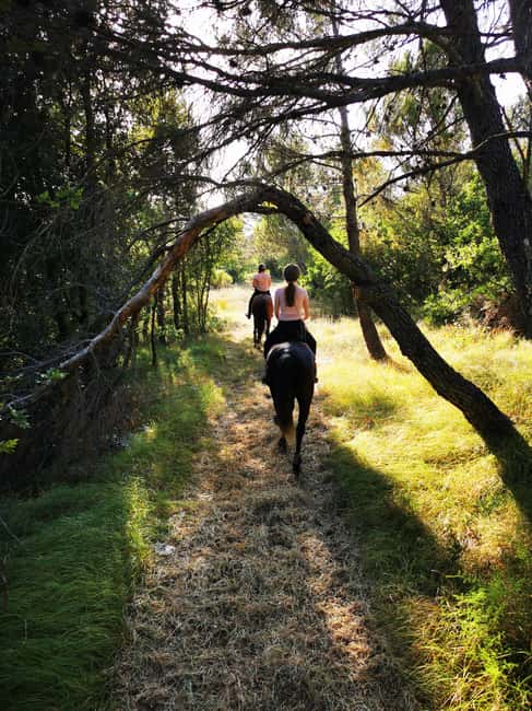 Istria: Guided Horseback Riding Tour - Key Points