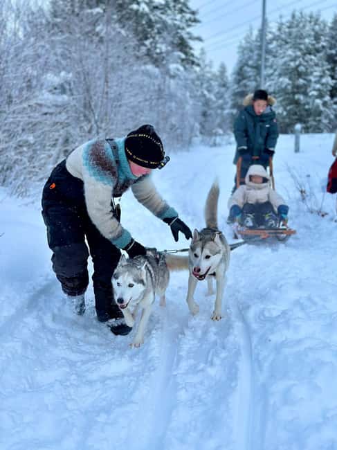 Ivalo: Private Farm Visit & Husky Experience - Exploring Ilonka’s Private Farm in Ivalo