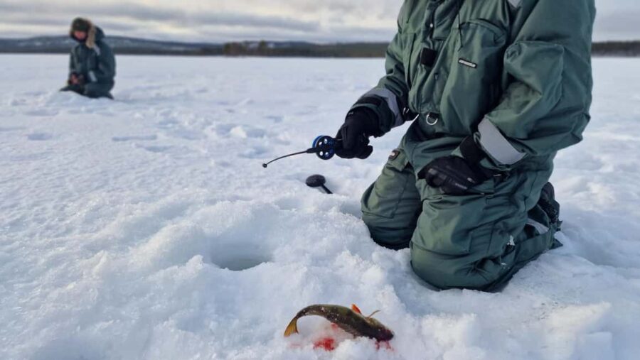 Ivalo: Private Sleighride Tour and Fishing in the Wild - The Private Guide and Local Expertise