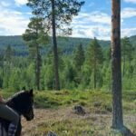 Ivalo - Saariselkä: Horseback Riding Adventures - What to Expect During the Ride
