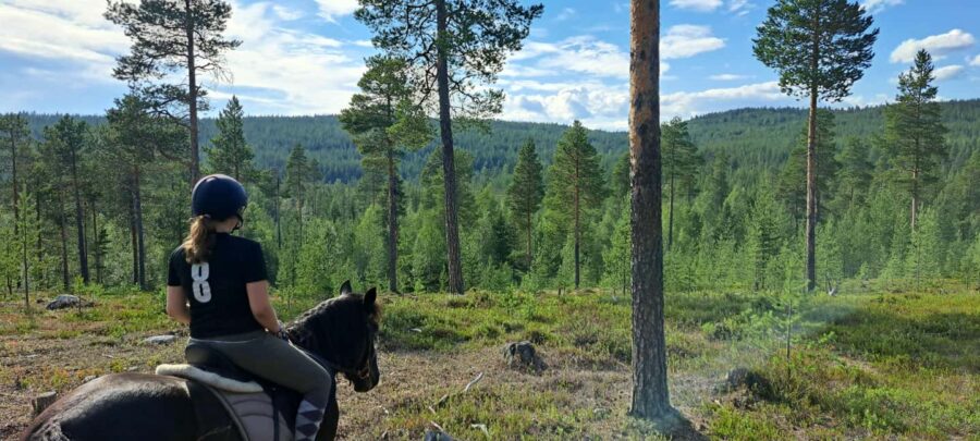 Ivalo - Saariselkä: Horseback Riding Adventures - What to Expect During the Ride