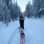 Ivalo - Saariselkä: Husky Walk in the Wilderness - The Cozy Atmosphere at the Lappish Hut and Yard