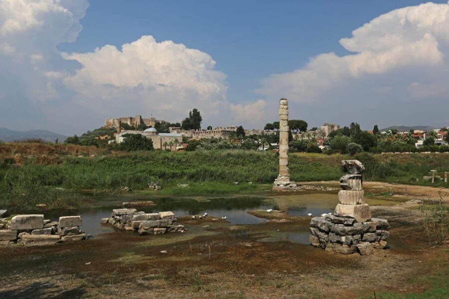 Izmir: Ephesus Private Tour for Cruise Guests - Starting at Izmir Port: A Seamless Welcome