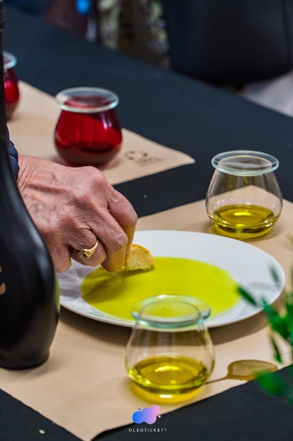 Jaén: Guided Olive Grove Tour - The Gourmet Olive Oil Tasting Experience