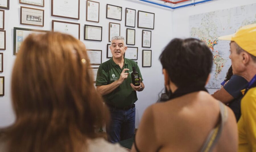 Jaén: Guided Olive Mill Tour with Olive Oil Tasting - Touring the Olive Oil Production Facilities