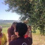 Jaén: Olive Oil Museum Tour with Tasting Private groups - Seeing the Machinery from Over Half a Century Ago