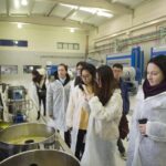 Jaén: Unforgettable visit to the olive mill + EVOO tasting - Tasting Award-Winning EVOO Varieties