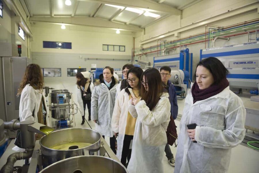 Jaén: Unforgettable visit to the olive mill + EVOO tasting - Tasting Award-Winning EVOO Varieties