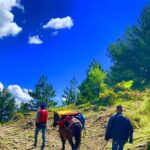 Jeep Safari Berat Hiking and picnic lunch in Tomori Holy Mount - Return Journey in 4x4 Vehicles