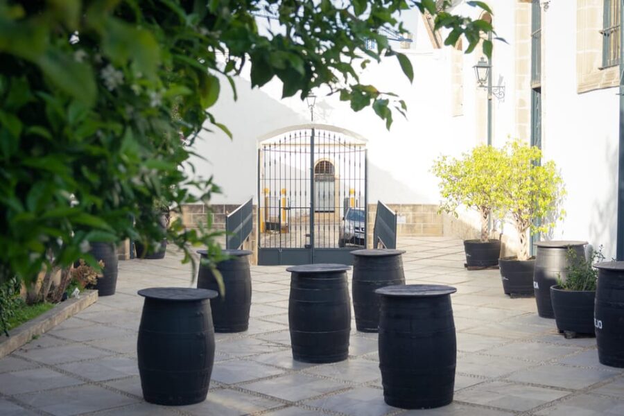 Jerez: Bodegas Álvaro Domecq Guided Tour with Wine Tasting - From the Old Cellars to Modern Aging Techniques