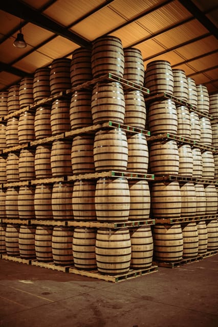 Jerez: Visit to Páez Morilla Winery SPANISH/ITALIANO - Comparing Páez Morilla to Other Jerez Tours