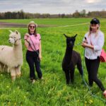 Jettingen-Scheppach: Alpaca hike for two - The Scenic Routes in the Minteltal Region