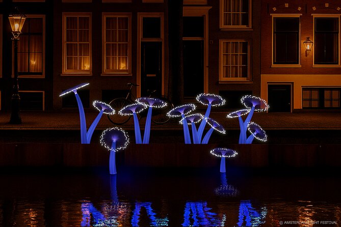 Join Our Magical Amsterdam Light Festival Cruise with Drinks! - Starting Point at Badhuisweg 4, Amsterdam