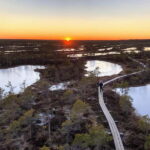 Jurmala: Kemeri National Park Sunset Trip - The Tour Starts at St. Peter’s Church in Riga