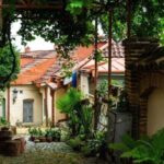 kakaheti free wine bodbe sighnagi & telavi - Starting Point at Vakhtang Gorgasali Square