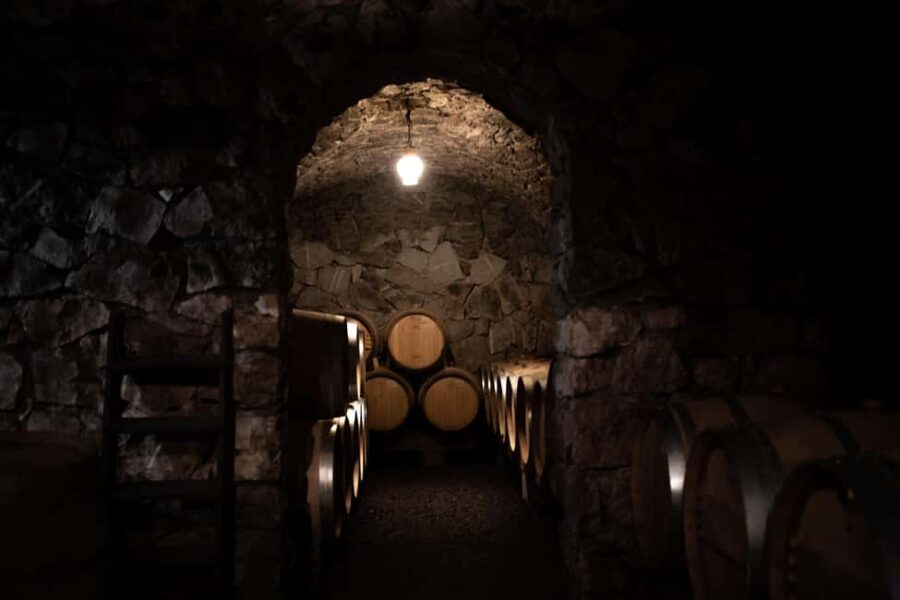 Kaltern: Weingut Niklas Wine Tour and Tasting - Understanding the Estate’s Winemaking Techniques