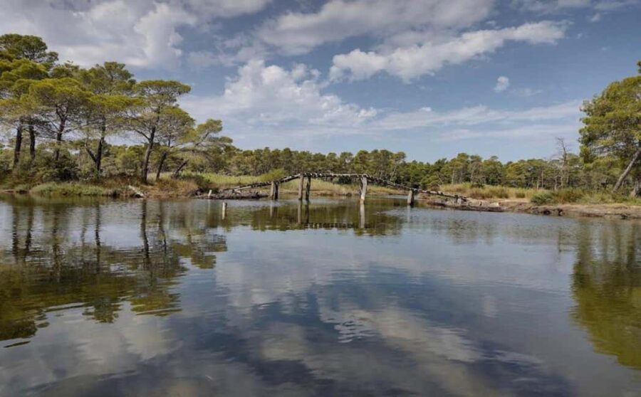 Karavasta:Bird Watching, Tower Views & Lagoon Boat Ride - Discover the Unique Ecosystem of Karavasta Lagoon