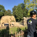 Karlsruhe: Unique Private Early Bird Segway Tour Zoo - Starting Point at the North Entrance of the Zoo