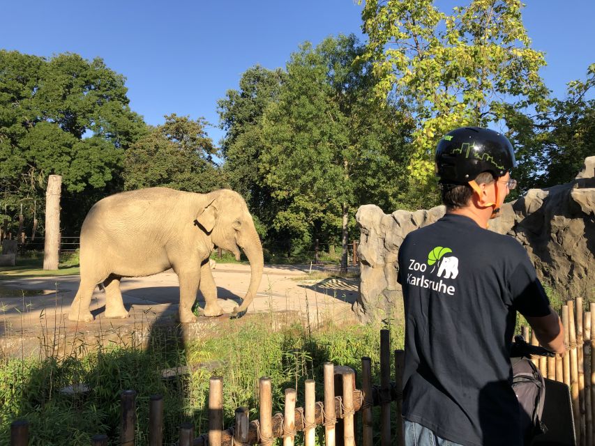 Karlsruhe: Unique Private Early Bird Segway Tour Zoo - Starting Point at the North Entrance of the Zoo