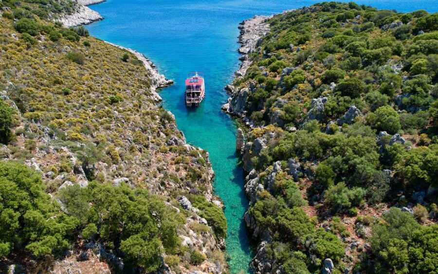 Kas: Full-Day Boat Tour with Lunch - Discover Yarilgan Bay’s Vibrant Marine Life