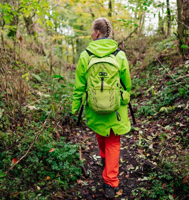 Kassel: Hercules Vital Tour - Guided Hike Through the Habichtswald - Exploring Wilhelmshöhe Mountain Park’s Water Features