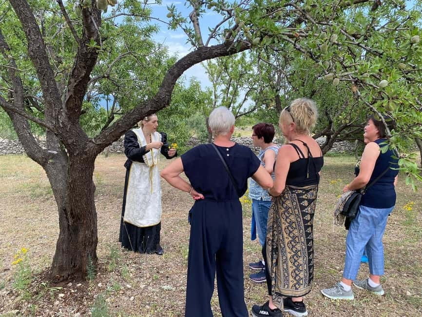 Kastela: Wine & Olive Tasting Tour w/Delicacies & Live Music - Scenic Olive and Almond Orchards in Kastela