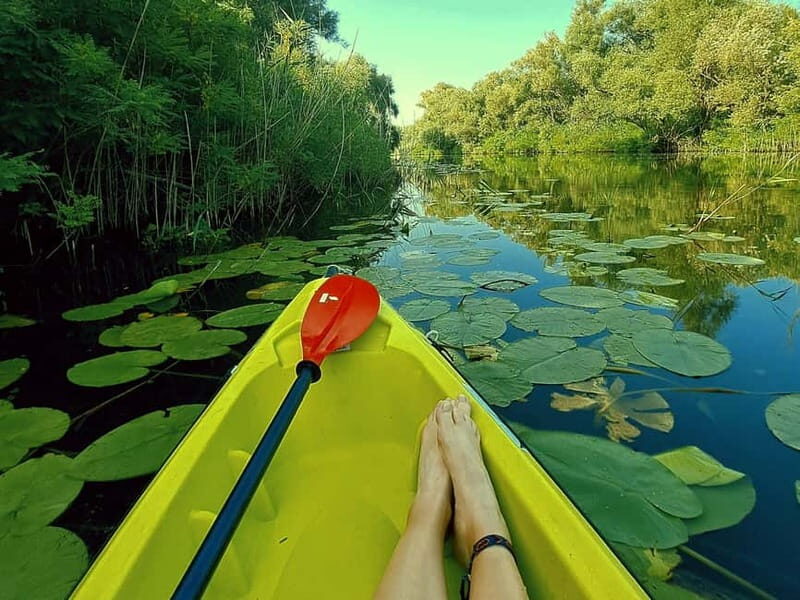 Kayak Adventure: Paddle your way through Lake Skadar - The Sum Up