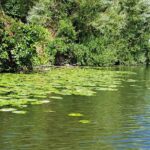 Kayak or SUP tour on the water through Saarbrücken - Safety and weather considerations