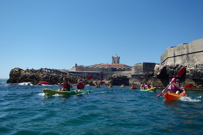 Kayak Tour of Lisbon - What to Expect During the 2-Hour Kayaking Experience