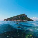 Kayak tour with aperitif and dolphins - Exploring Cala Moresca’s Seabeds and Snorkeling Spot