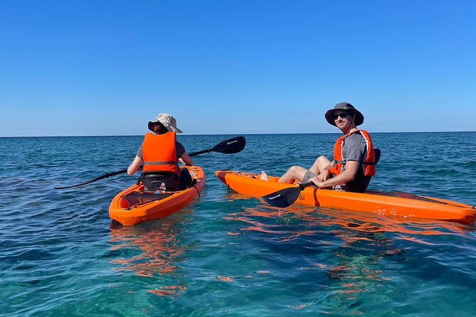 Kayak Tour with Local Guide - Exploring the Bay of Citara and Its Marine Life