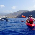 Kayaking with Dolphins and Turtles and Snorkelling in Tenerife - What the Equipment Includes and How It Enhances the Experience