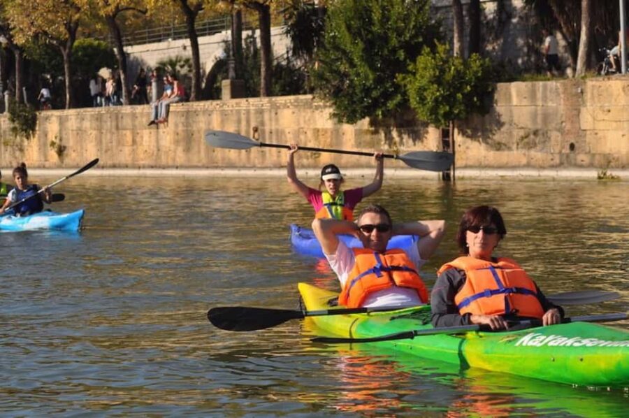 KayakTour or Rental+Premium Gear+QuickIntroCourse+Help - Starting Point at Kayak Sevilla