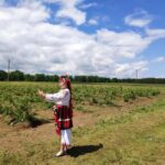 Kazanlak: Rose Festival 2026 VIP Access - The Festival Setting in Kazanlak