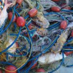 Kefalonia Fishing Tour: Tradition, Flavors & Turquoise Seas - Booking, Flexibility, and Cancellation Policy