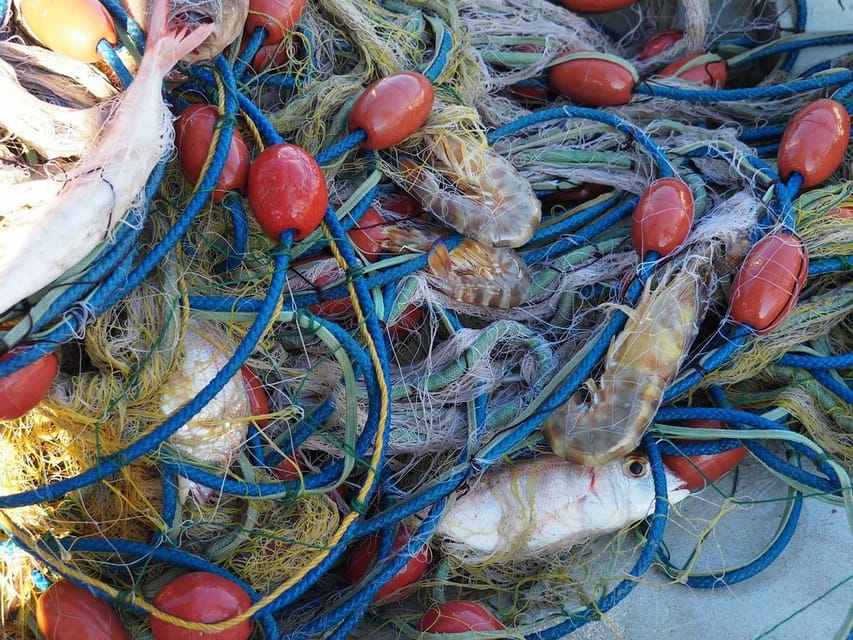 Kefalonia Fishing Tour: Tradition, Flavors & Turquoise Seas - Booking, Flexibility, and Cancellation Policy