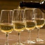 Kefalonia Private Wine Tour - Kefalonias Top Wineries: Sarris, Orealios, and Gentilini