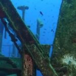 Kemer: Scuba Diving Experience in Aquarium and Kiris Bays - Languages Supported and Booking Flexibility