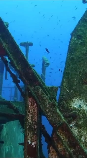 Kemer: Scuba Diving Experience in Aquarium and Kiris Bays - Languages Supported and Booking Flexibility