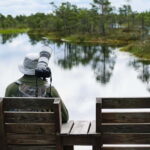 Kemeri National Park & Baltic Seaside Tour Bog Boardwalk - Exploring Kemeri National Park and Its Famous Bog Boardwalks